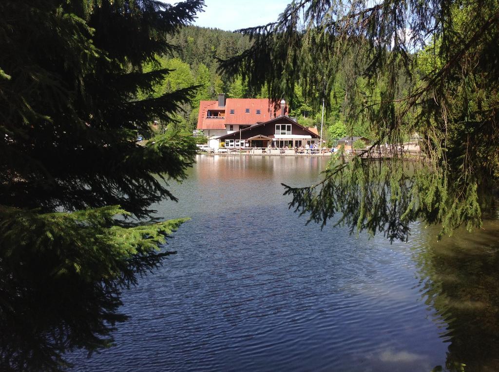 Self-Check-In Ferienwohnungen & Apartments Am Bergsee Triberg im Schwarzwald Ngoại thất bức ảnh