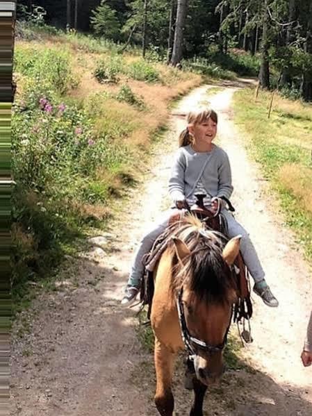 Self-Check-In Ferienwohnungen & Apartments Am Bergsee Triberg im Schwarzwald Ngoại thất bức ảnh